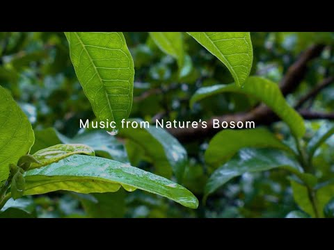 Music from Nature’s Bosom