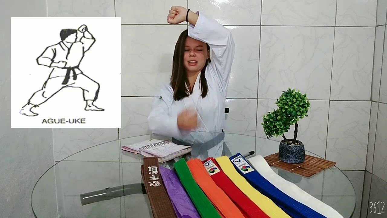 Aula teórica Karate Shotokan - vamos aprender um pouco sobre o Karate.