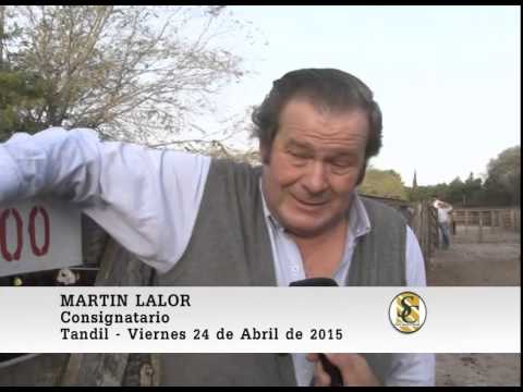 Martin G. Lalor S.A. - Tandil - Nota Martin Lalor - 24/04/2015