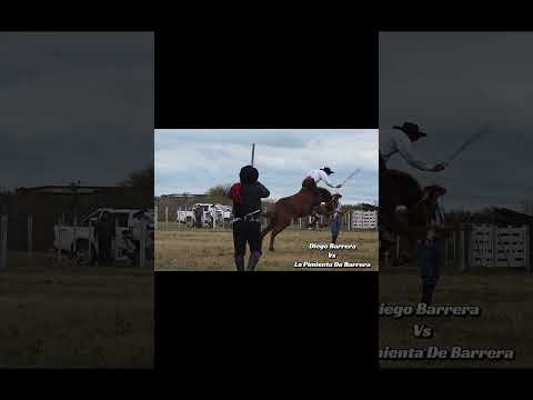jinetiada Predio El Paraíso Tostado Santa Fe 🥇🏆 Premio #doma #caballos #tradiciones #viral #dalelike