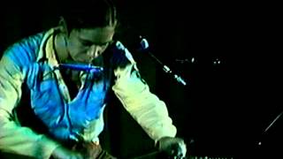 "the darkening" claudia schmidt on pianolin @ the new varsity