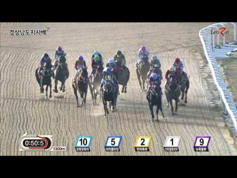 Gyeongnam Governor's Cup 2016 - Ms. Margaux