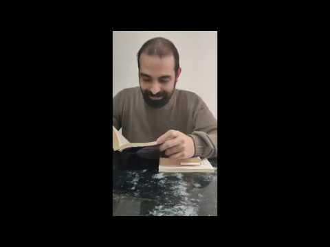 Libri di Pietra, 31-03 -20 (James Joyce- Juan Rodolfo Wilcock, Witold Gombrowicz, Jean Genet)