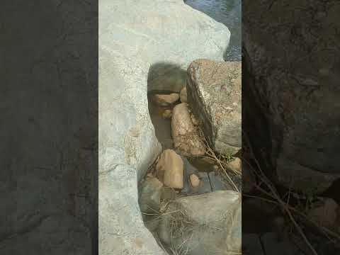 CACHOEIRA DA BAHIA🌊