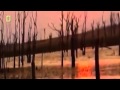 Lions Documentary National Geographic African Lions Full Documentary