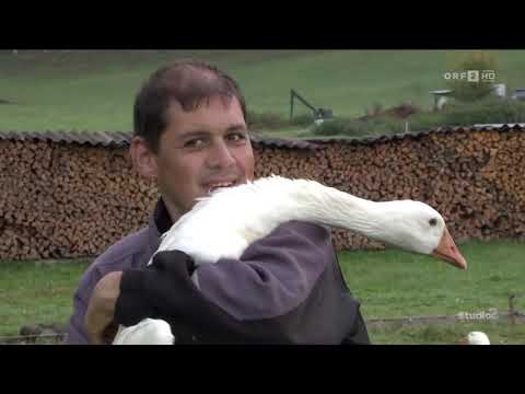 Sunnahof bei „Studio 2“ auf ORF 2