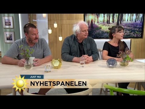 NYHETSPANELEN 5 aug - Nyhetsmorgon (TV4)