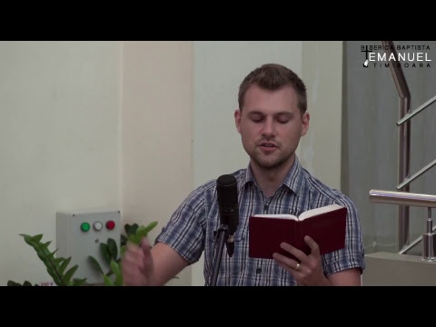 Joi 17 August 2017 - Radu Oprea