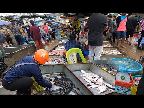 Awesome Fish Market Scenes Early Morning - Fish, Seafood, Vegetables & People Activities | WetMarket