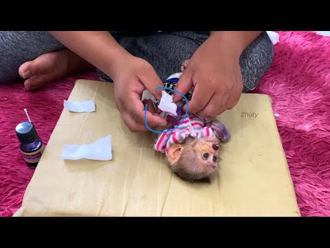 Evry Evening, Father Chanqe Bandage & Cleaninq Wund Before Bed