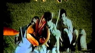 Sítio do Picapau Amarelo Pato Fu