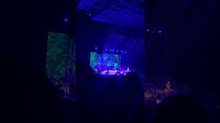 What is this love Blue Rodeo