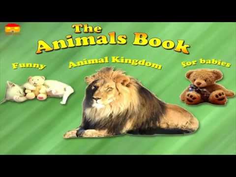 The Animals Book Video