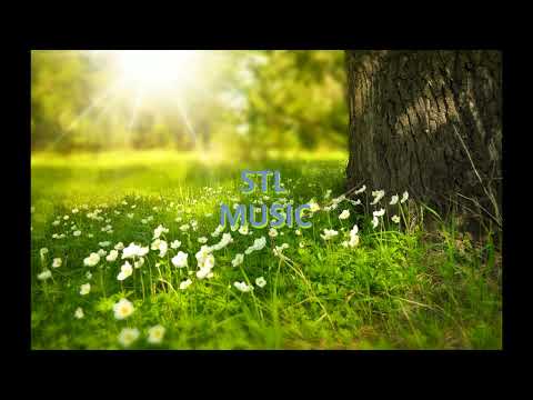 [Trance] The Thrillseekers - Dreaming Of You (Flutlicht Remix)