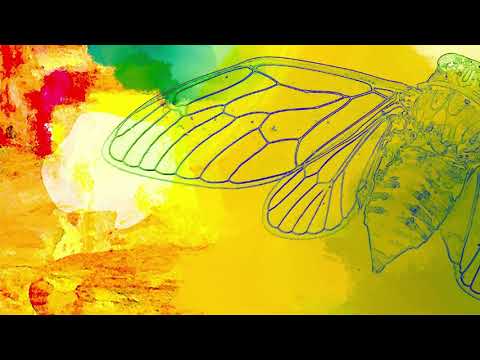 Video thumbnail for Chrysalis