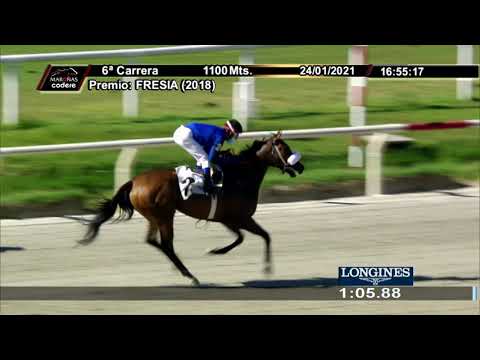 210124 c06 HAPPY QUEEN (BRZ)