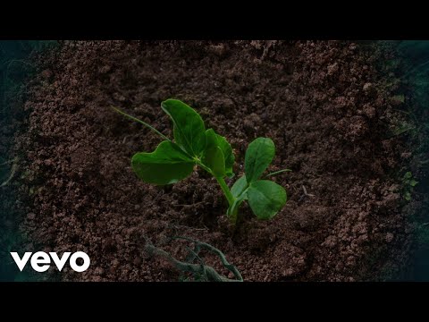 Sheryl Crow - Digging In The Dirt (Visualizer) ft. Peter Gabriel