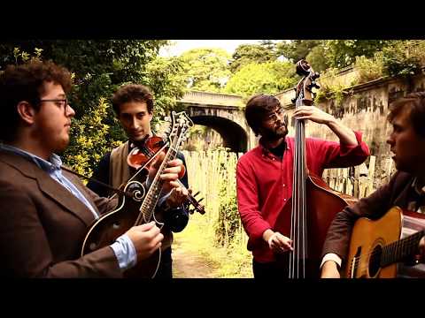 The Often Herd - Whisky River