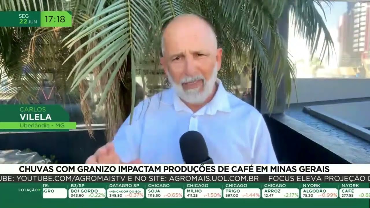 Chuvas com granizo impactam produções de café em Minas Gerais