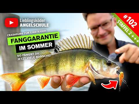 FANGGARANTIE – So fängst du BARSCHE im August 🎣 ✅