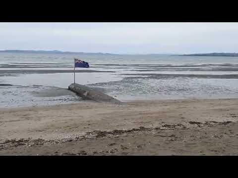 Eastern Beach Walking Tour In Auckland New Zealand