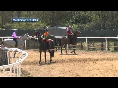 Corse di addestramento a Monticiano - seconda parte