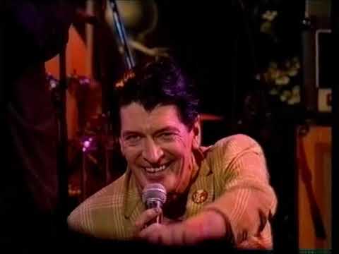 Herman Brood & Van Dik Hout - Pijn (Live @ De Plantage)