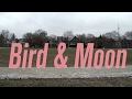 Eric Chenaux | "Bird & Moon"