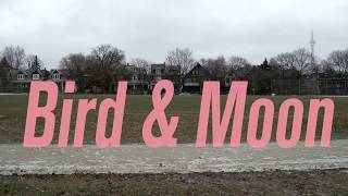 Eric Chenaux | "Bird &amp; Moon"