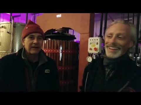 About Number 12 Facebook Live