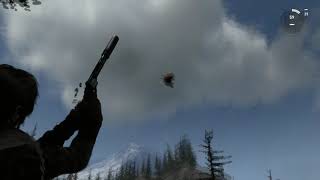 Rise of the Chicken Thrower
