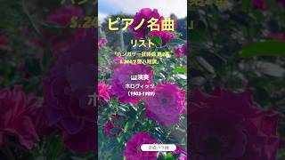 Download lagu 【ピアノ名曲】 #piano #classic #Liszt  #horowitz mp3
