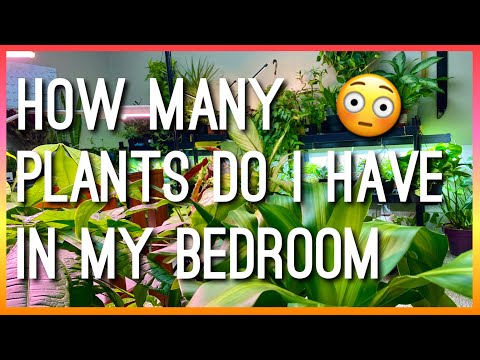 How Many Plants Do I Have in My Bedroom?! | Houseplant Apartment Bedroom Tour | Clean With Me Plants