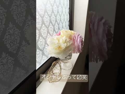 ヤナギを編んで作った植物の構造 – リビングガーデンの装飾アイデア 20 個  庭園