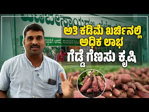 ಪ್ರಧಾನಿ ಮೋದಿ ನೋಡಿ ಕಲಿಯಿರಿ...': Netanyahu ಗೆ ಇಸ್ರೇಲಿ ರಕ್ಷಣಾ ನೀತಿ ತಜ್ಞರ ಚಾಟಿ