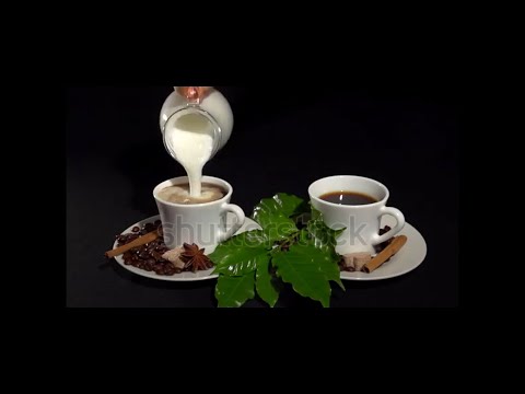Vídeo triình chiếu Holograma 3D Dolled chủ đề Cafe + Nước Uống - Black Backgroud