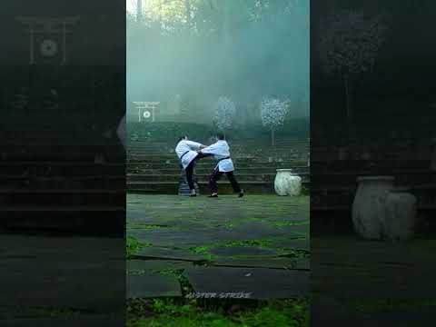 Terry Silver vs John Kreese when they were young #shorts #cobrakai