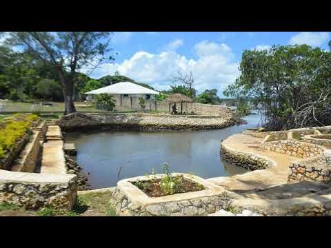 FAFANGU-KOULA-'O PAKILAU (TAME'A PAPA) IKATA'ANE 'O VAHELOTO