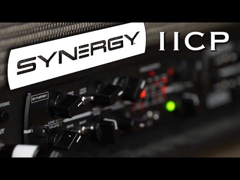 Synergy IICP 2-Channel Preamp Module 2026 - Black image 6