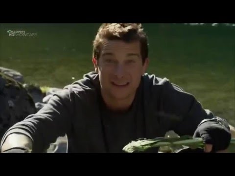 Gerber Bear Grylls Ultimate Knife in "ULTIMATE SURVIVAL"