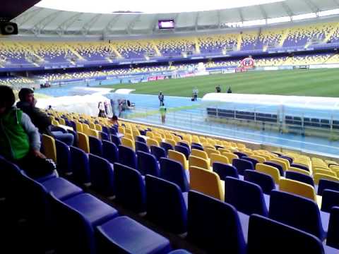 alentando al león en collao