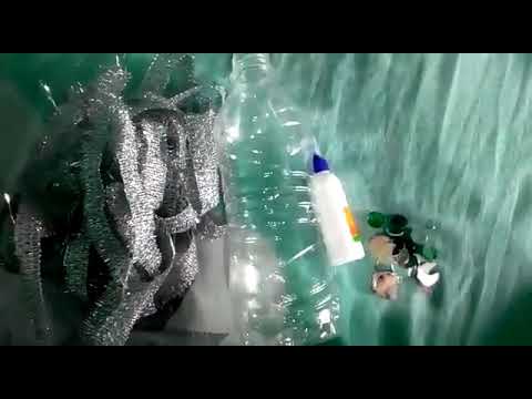 Flower Pot using Bottle  ll Activity Work ll M. L. P. World School, Tijara ll 04.08.2020