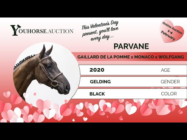 Parvane