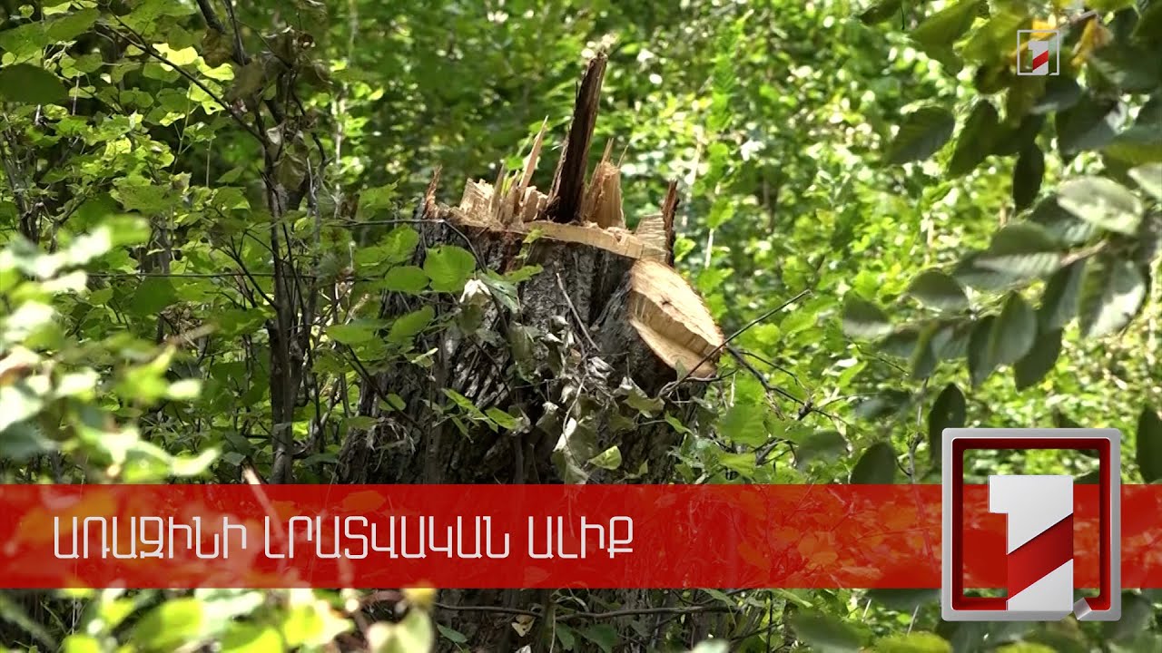 2055 իրավախախտում, 1016 հարուցված վարչական վարույթ, 1116 վարչական տույժ. ԲԸՏՄ-ն ամփոփել է տարին