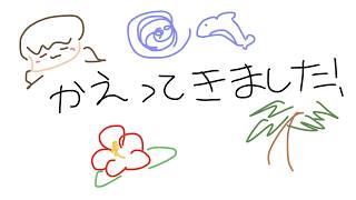 【雑談】沖縄帰ってました～🌺【藤宮コトハ / パレプロ】