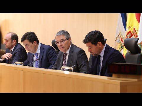 Pleno ordinario de la Diputación de Málaga.Diciembre 2023
