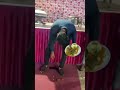 Nasha Sharab Mai Hota तो Nachti Bottle Amitabh Shorts Sharab