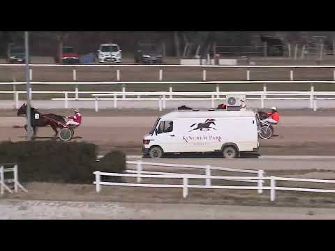 2023.03.04. 01. futam - ÜVEGTIGRIS DÍJ