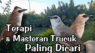 Download lagu TERAPI TRUCUKAN BIAR CEPAT GACOR, TERAPI KHUSUS TRUCUKAN STRES MALAS BUNYI & TRUCUK BAHAN OMBYOKAN mp3
