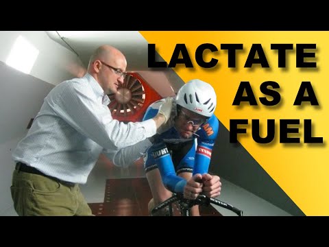 Lactate: Harmful Byproduct or Performance Enhancer? - Inigo San Millan